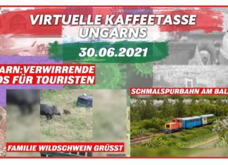 Virtuelle Kaffeetasse Ungarns am 30.06.2021