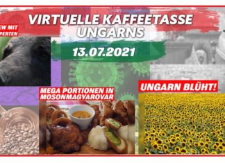 Virtuelle Kaffeetasse Ungarns am 13.07.2021
