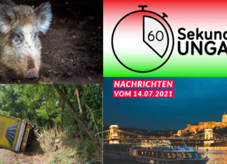 Ungarn in 60 Sekunden – Nachrichten