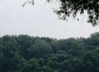 Fähre antriebslos auf Donau abgetrieben!