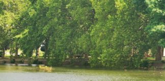 Sommer entlang der Kleinen Donau von Ráckeve nach Szigetszentmiklós