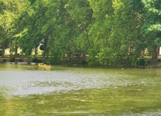 Sommer entlang der Kleinen Donau von Ráckeve nach Szigetszentmiklós