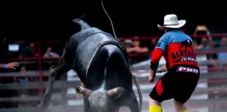 Geschmacklos oder cool? Rodeoevent in Kiskunfélegyhaza