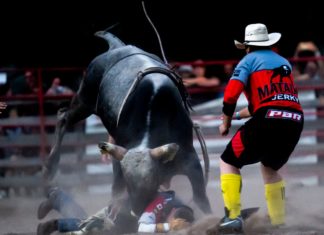 Geschmacklos oder cool? Rodeoevent in Kiskunfélegyhaza