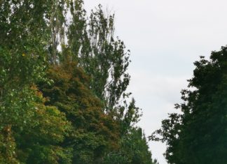 Abreisewelle am Balaton führt zu grossen Staus!