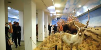 Jagdmuseum in Keszthely neu eröffnet