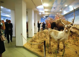 Jagdmuseum in Keszthely neu eröffnet