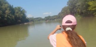 Szigetköz mit dem Kanu erkunden