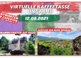 Virtuelle Kaffeetasse Ungarns am 12.08.2021