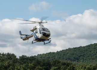 Ambrosia-Aktion im Kreis Heves