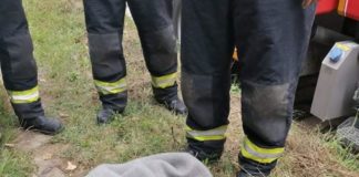 Feuerwehr von Aszód rettet Hund aus Brunnen