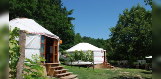 Der Natur ganz nah: Panorama Jurta Hotel