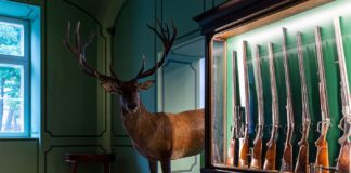 Bodaijk: Jagdausstellung im renovierten Schloss