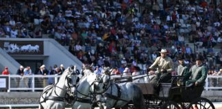 Finalrunden bei den Europameisterschaften der Vierspänner in Budapest