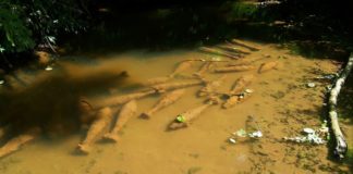 Krasser Bombenfund im Bakonywald!