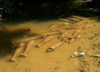 Krasser Bombenfund im Bakonywald!