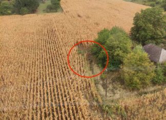 Kaposvár: Polizei findet vermisste Person