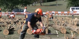 Feuerwehr-Motorsägen-Wettbewerb