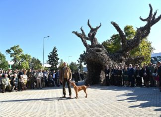 „Eins mit der Natur“ – Weltjagdausstellung in Budapest eröffnet