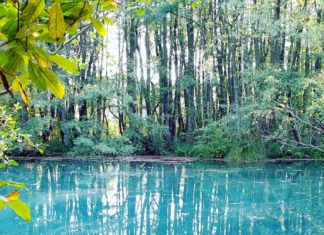 Naturlehrpfad in Tata: Ganz nah an der Natur