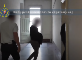 Budapest: Pathologe und das Geschäft mit dem Tod