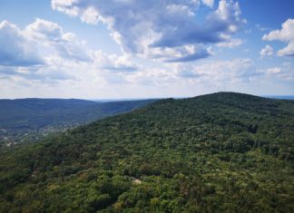 Fünf spektakuläre Autofahrten durch die wunderschöne ungarische Landschaft