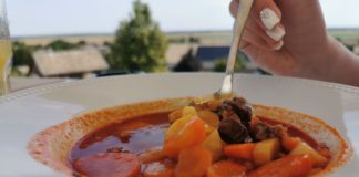 Szekszárd: Schlemmen im Restaurant Takler Kúria