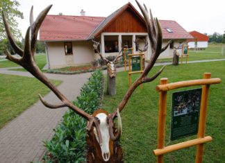 Wildpark eröffnet in Somogy