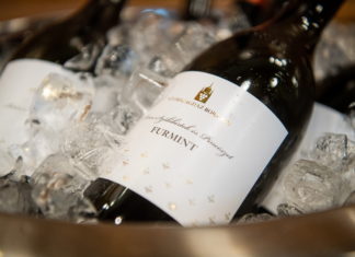 Veranstaltungstipp: Frühlings-Minifestival in Tarcal