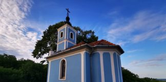Sonderpreis: Baum in Szálka ist einer der schönsten Bäume Ungarns