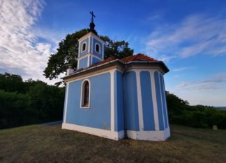 Sonderpreis: Baum in Szálka ist einer der schönsten Bäume Ungarns