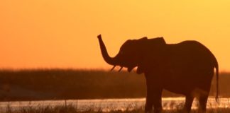 Namibia ist Urlaub im Draussen!