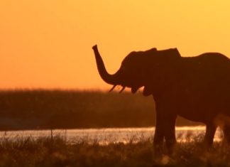 Namibia ist Urlaub im Draussen!