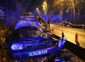 Baum aufs Auto gestürzt – Fahrer schwerverletzt in Budapest!