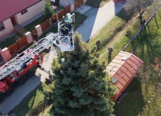 Der Landesweihnachtsbaum Ungarns ist 16 Meter hoch!