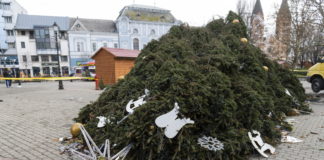 Starke Winde verwüsten Weihnachtsbäume