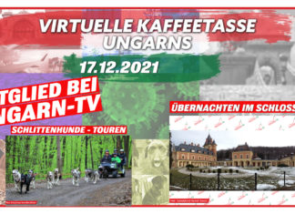 Die Virtuelle Kaffeetasse Ungarns am 17.12.2021