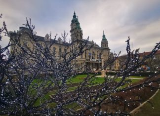 Frühlingsgefühle durch Weihnachtsbeleuchtung?