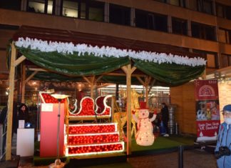 Rasant! Rentierschlitten VR Erlebnis in Budapest