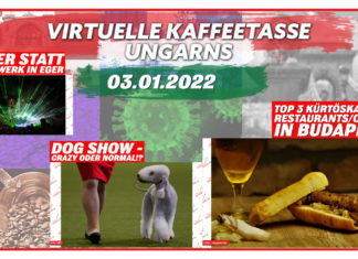 Die Virtuelle Kaffeetasse Ungarns am 03.01.2022