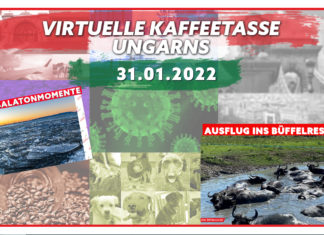 Die Virtuelle Kaffeetasse Ungarns am 31.01.2022