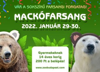 Bärenkarneval im Budapester Zoo am 29. / 30. Januar 2022