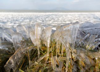 Eisformationen am Balaton
