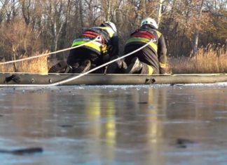 HIER zeigen wir eine Eisrettung in Vác