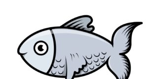 Grünspecht und Rotauge – Vogel und Fisch des Jahres in Ungarn