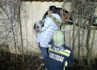 Ungarische Feuerwehr: Hund aus misslicher Lage befreit!