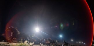 Donnernde Hufe in Budapest am Silvesterabend!