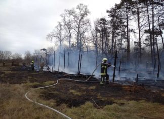 Waldbrand ruft Feuerwehren und Katastrophenschutz auf den Plan
