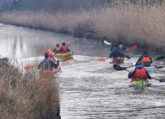 Kanutouren am Héviz-See