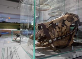 Szeged mit interessanter Ausstellung im Móra Museum!